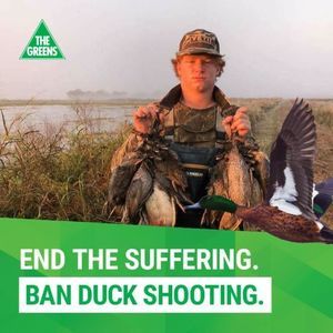 Meet your Posher, Jake